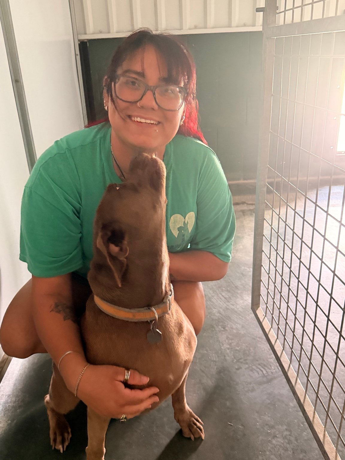 vibe collective lighthouse initiative shelter dog hug