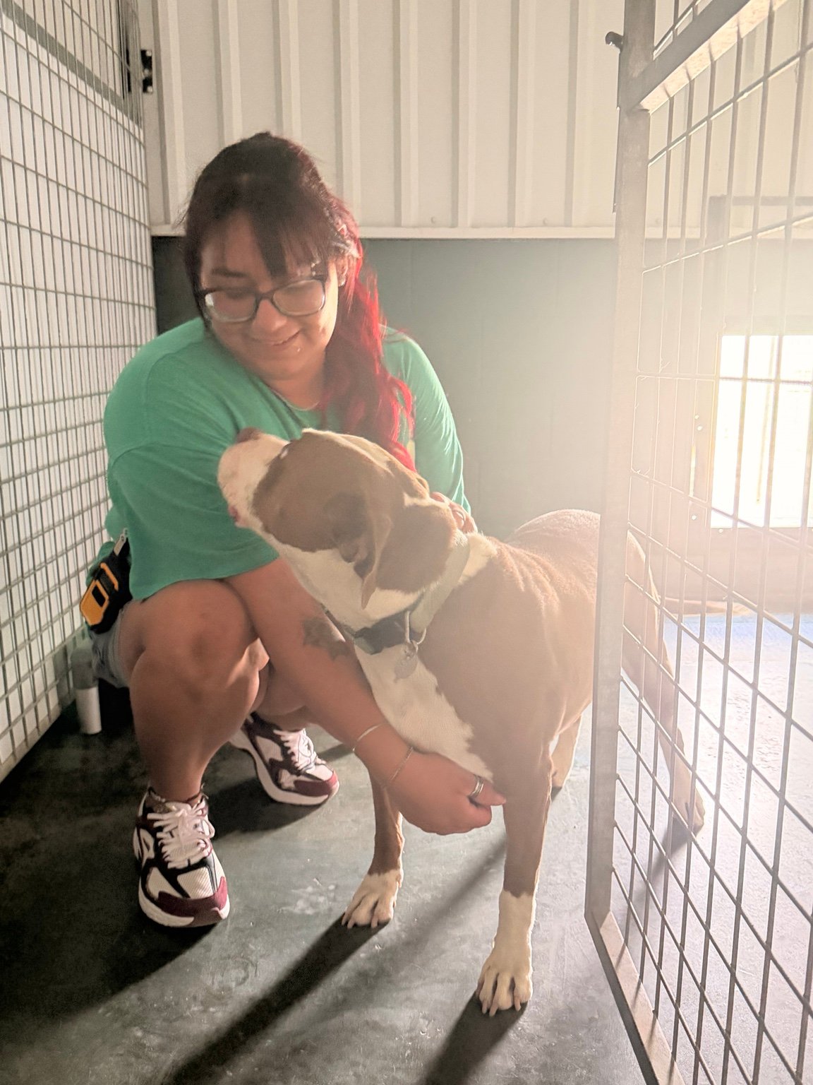 vibe collective lighthouse initiative shelter dog with caregiver